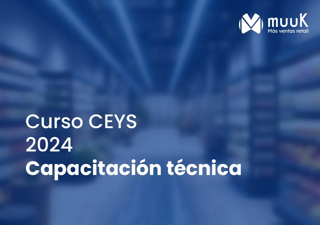 Curso Ceys 2024-2025 | Capacitación técnica (Copy 1)